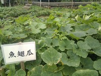 20100215Farm Visit28.jpg